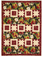 The Magic of 3-Yard Quilts Book