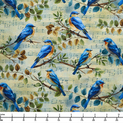 Spring Songbirds 3-Yard Quilt Kit