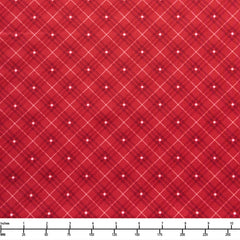 Christmas Surprise 3-Yard Quilt Kit