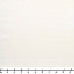 Prismatic Paints 3-Yard Quilt Kit