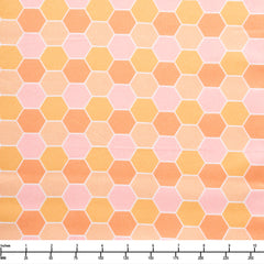 Bee Curious 3-Yard Quilt Kit