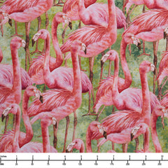 Flamingo Fling 3-Yard Quilt Kit