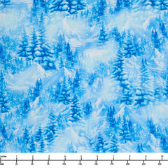 Timeless Treasures Northern Lights Frost Winter Scene Winter CD3495 Frost - By The Yard