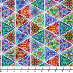 Color Carousel 3-Yard Quilt Kit