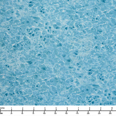 Seashell Collection 3-Yard Quilt Kit