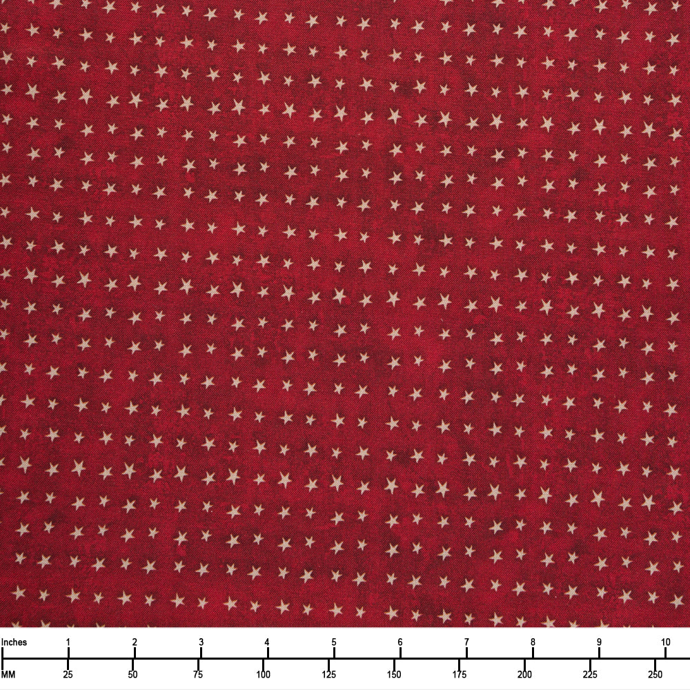 P&B Textiles Love and Glory Set Ditsy Stars LGLO 06161 DR - 32-inch EOB Special