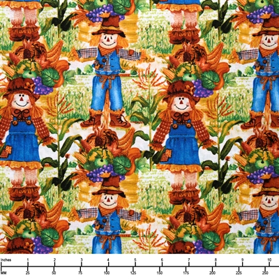 EE Schenck David Textiles Harvest Prints Scarecrow Season DATDX 3790 4C 1 - 32-inch EOB Special